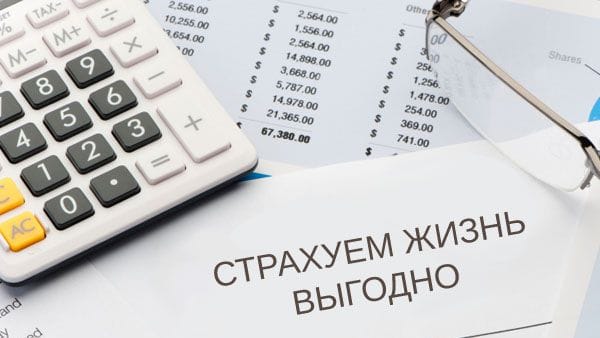 Как застраховать жизнь с максимальной выгодой
